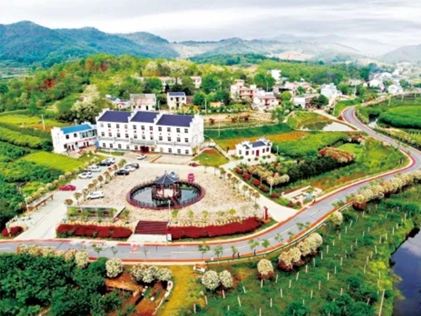 乡镇一体化应用